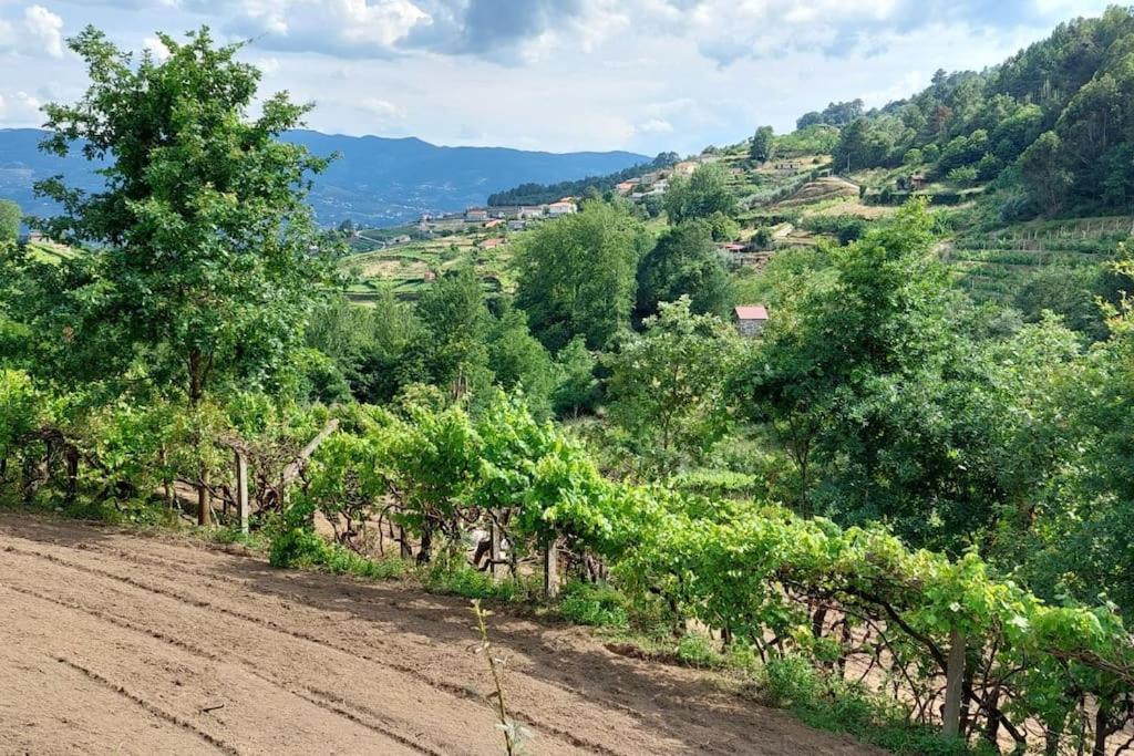 Villa Quinta Dos Castros Douro Baião Exterior foto