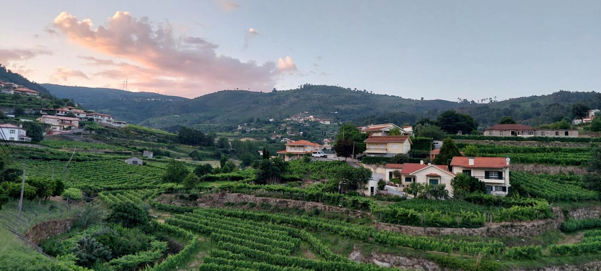 Villa Quinta Dos Castros Douro Baião Exterior foto