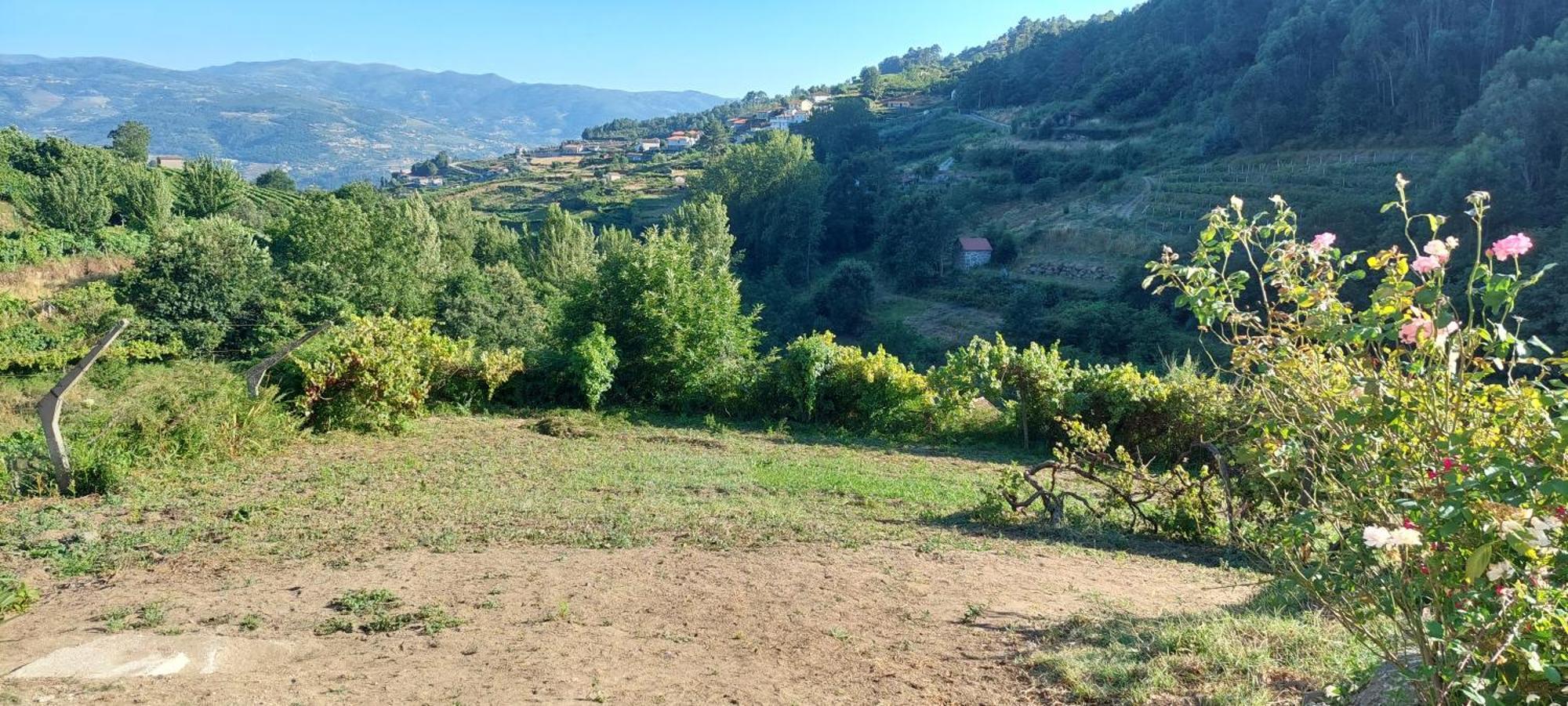 Villa Quinta Dos Castros Douro Baião Exterior foto