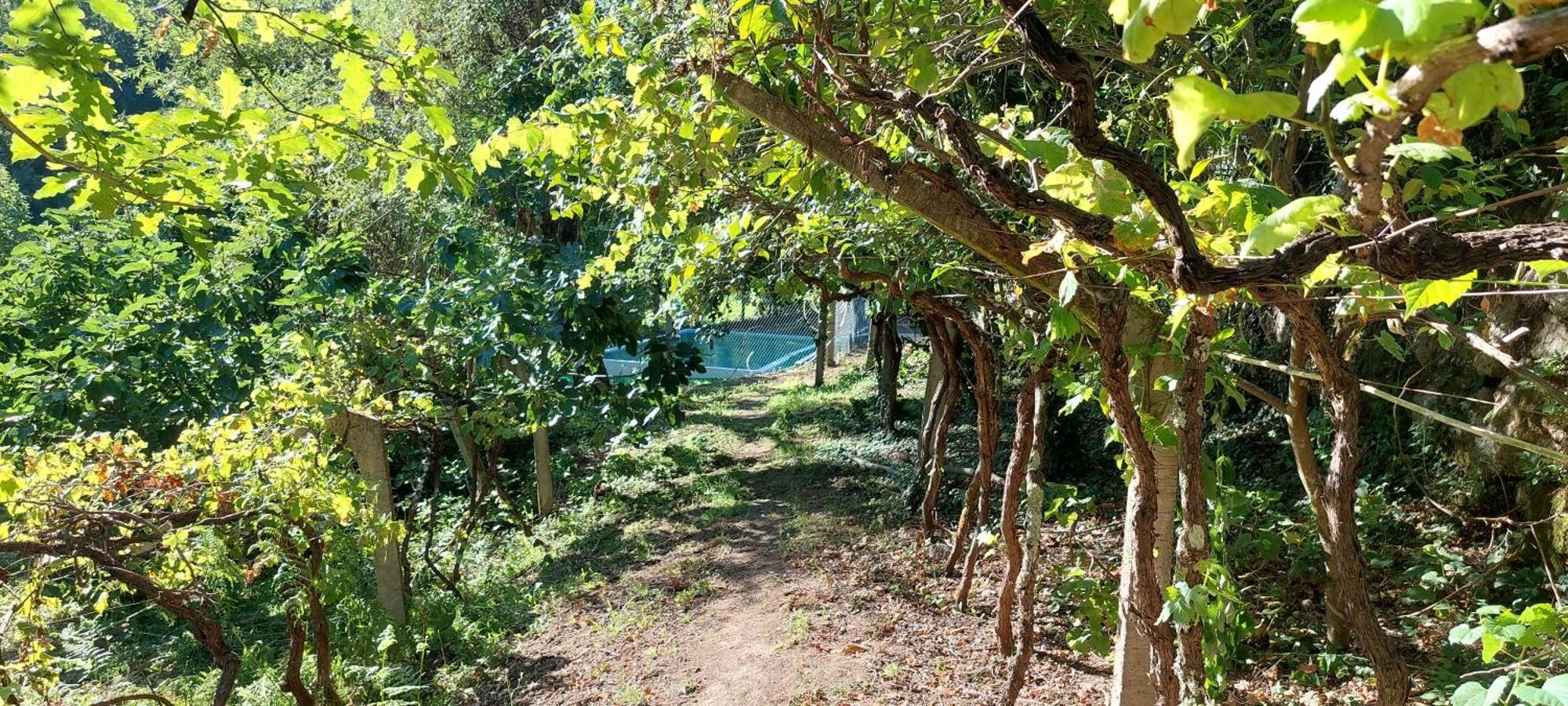 Villa Quinta Dos Castros Douro Baião Exterior foto