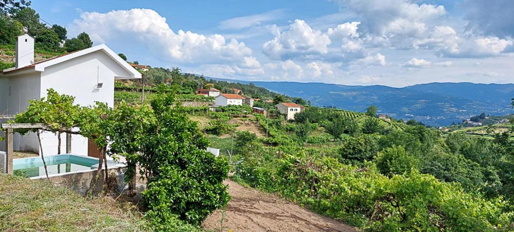 Villa Quinta Dos Castros Douro Baião Exterior foto